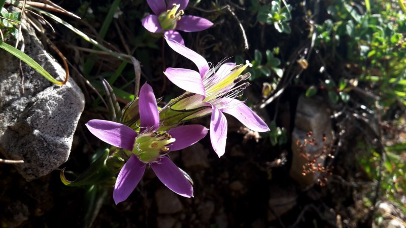 photo.jpg