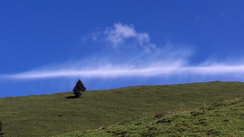photo7.jpg