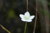 img_8675_small.jpg