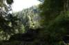 img_8677_small.jpg