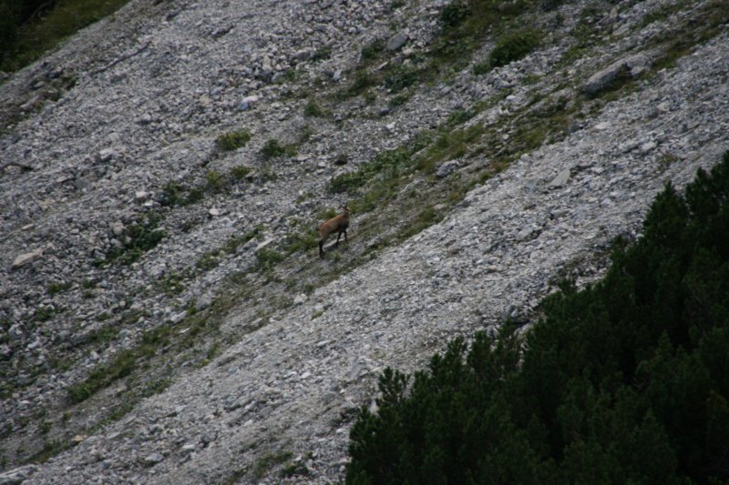 img_8712.jpg