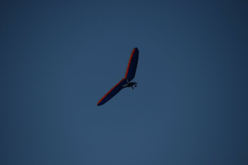 img_8742.jpg