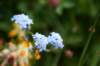 img_0003_small.jpg