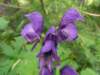 schatzerhuette_046_small.jpg