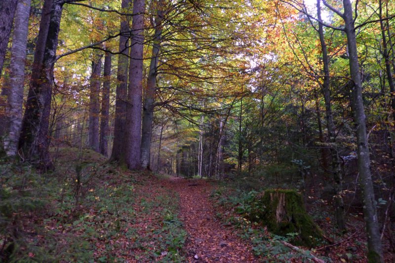 p1050573.jpg