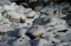 p1050879_small.jpg