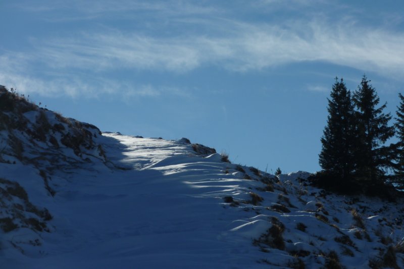 p1050915.jpg