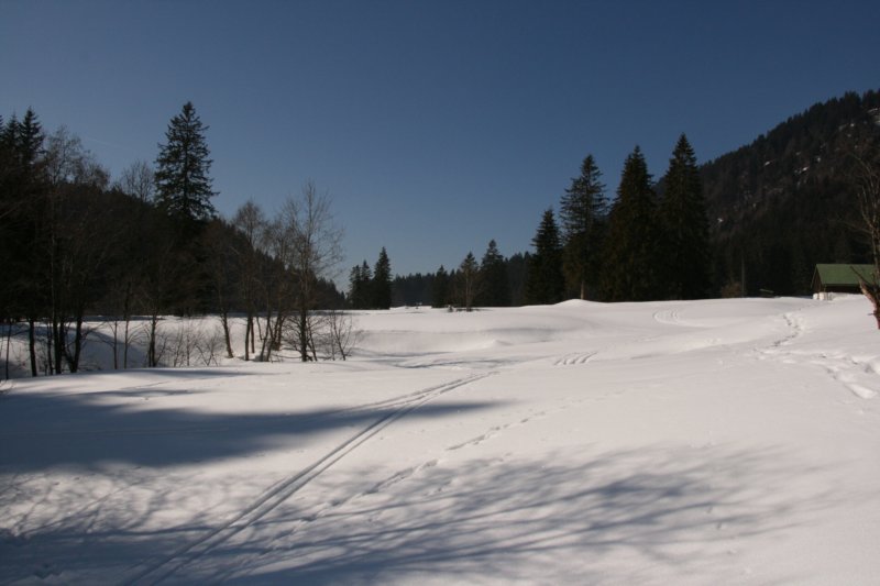 img_5363.jpg