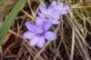 p1110732_small.jpg