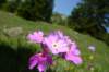 p1040003_small.jpg
