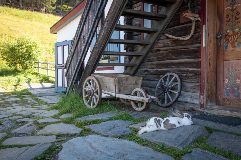 _schatzerhuette_0319.jpg