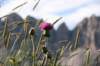 schatzerhuette_005_small.jpg