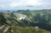 p1040844_small.jpg