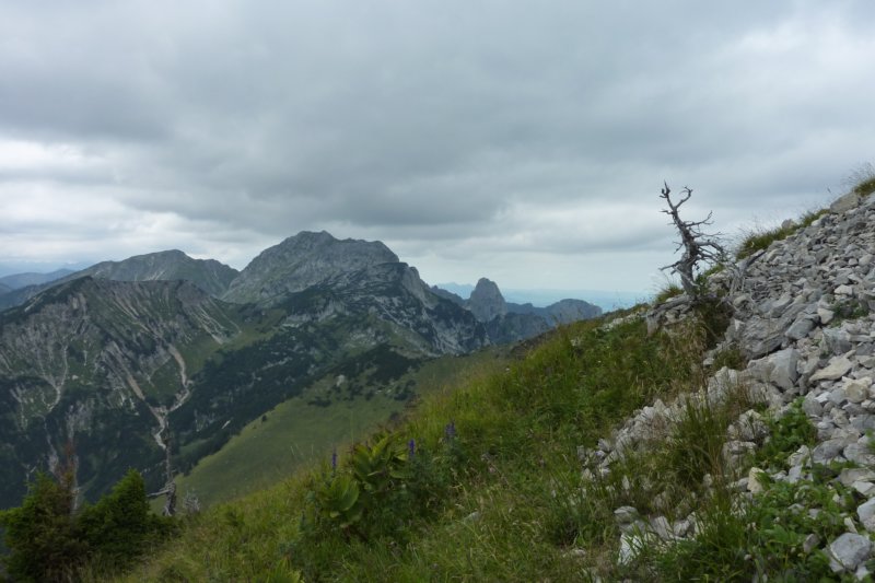 p1040866.jpg