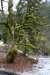img_1552_small.jpg