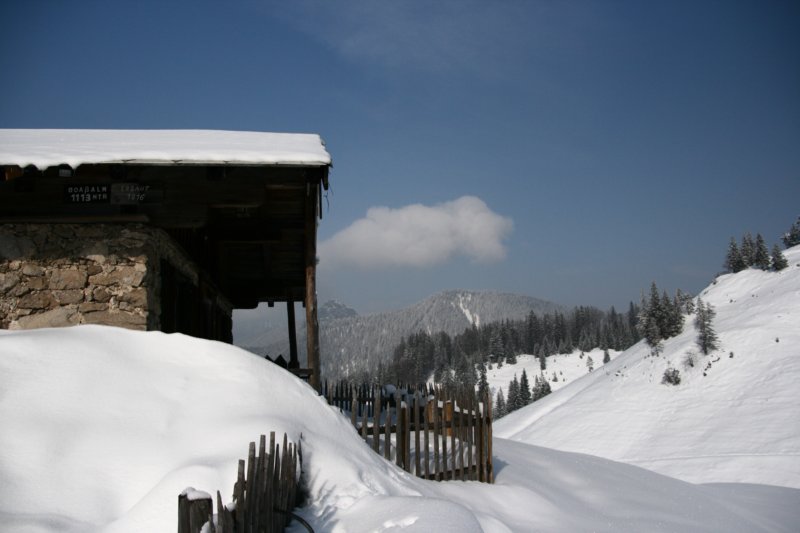 img_8414.jpg