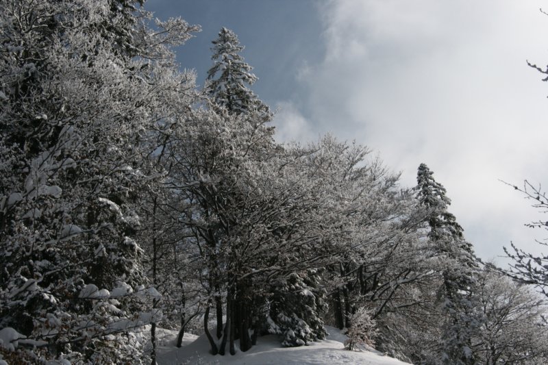 img_8425.jpg