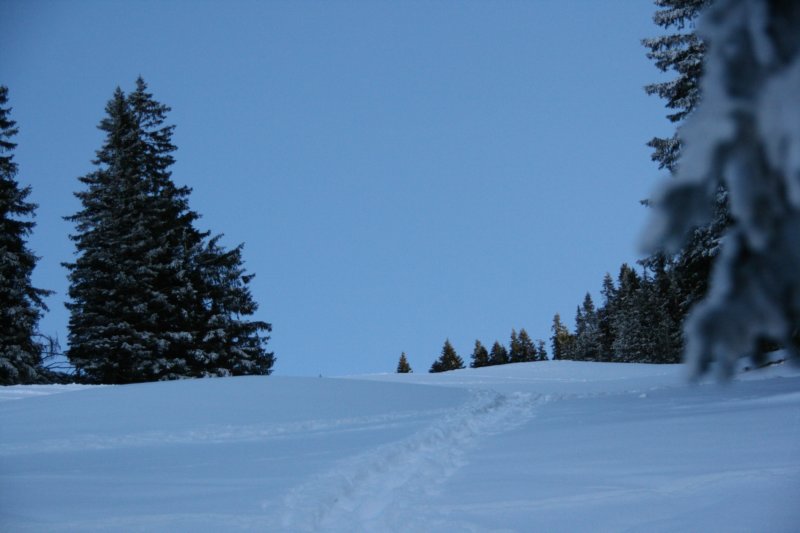 img_8010.jpg
