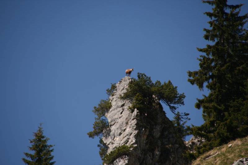 img_9771.jpg