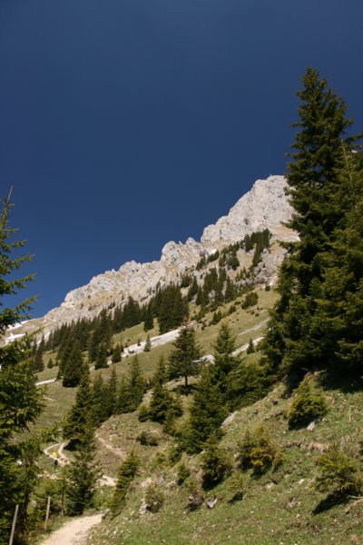 img_9794.jpg