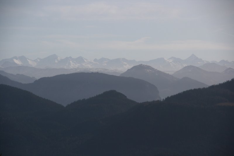 img_7294.jpg