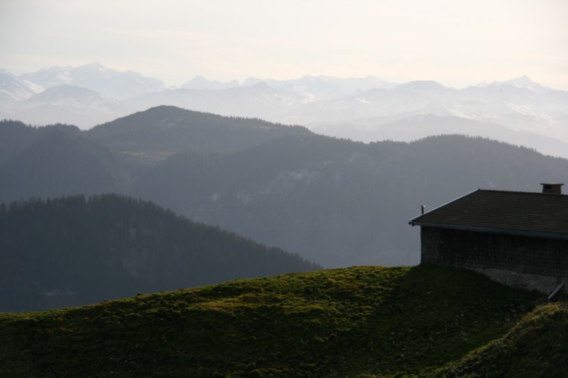 img_7315.jpg