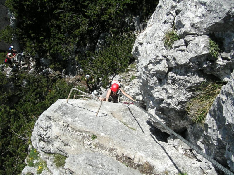 kif_8753.jpg