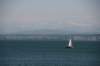img_7731_small.jpg