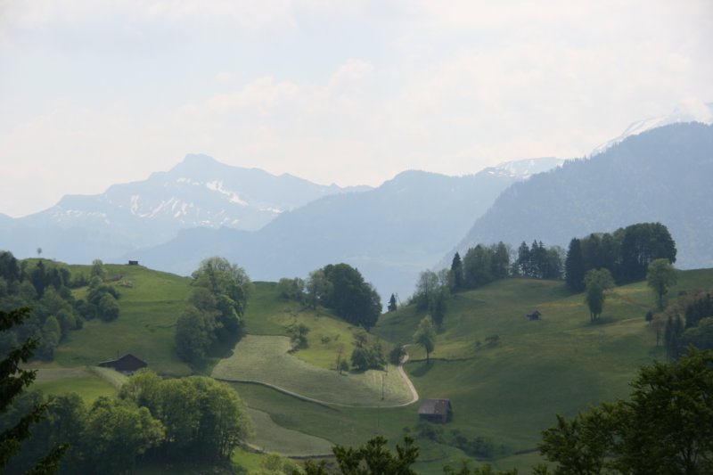img_7741.jpg