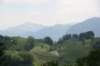 img_7741_small.jpg