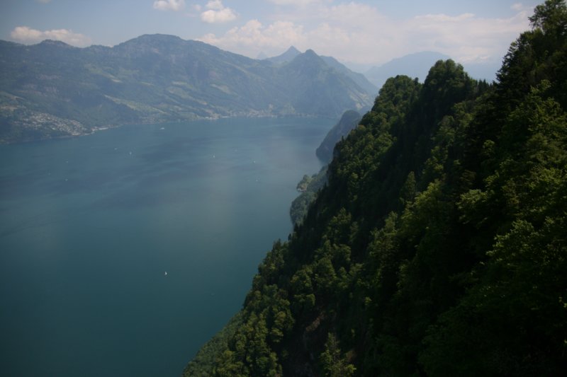 img_7785.jpg