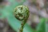 img_8083_small.jpg