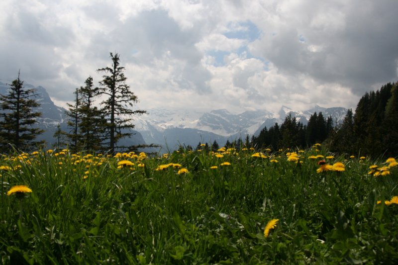 img_8114.jpg