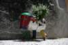img_8843_small.jpg
