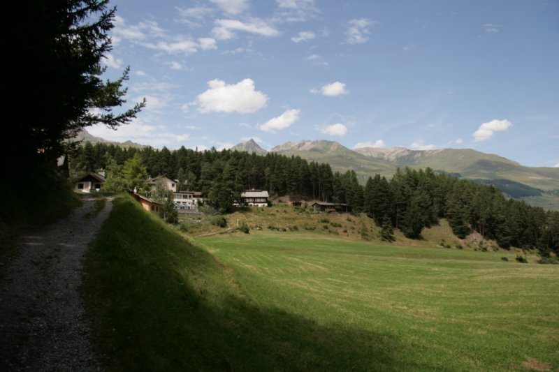 img_8864.jpg