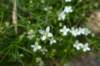 p1080750_small.jpg