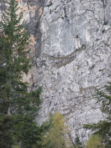 seebenks_110.jpg