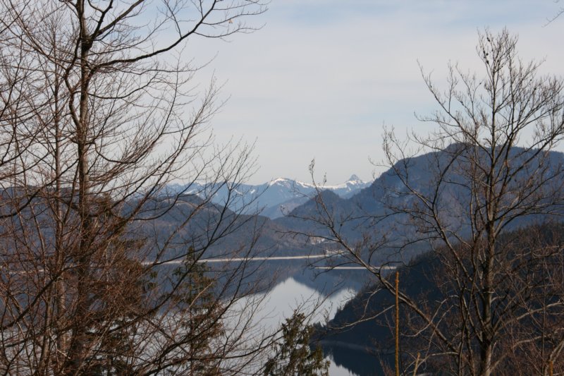 img_5519.jpg