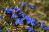 img_9836_small.jpg