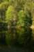 img_9861_small.jpg