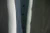 silzilien_1808_small.jpg