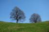 img_0600_small.jpg