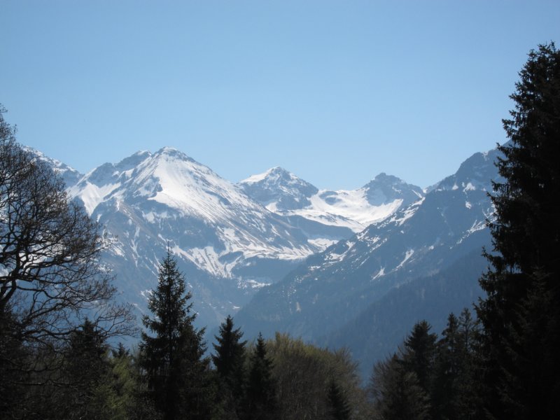 img_0609.jpg