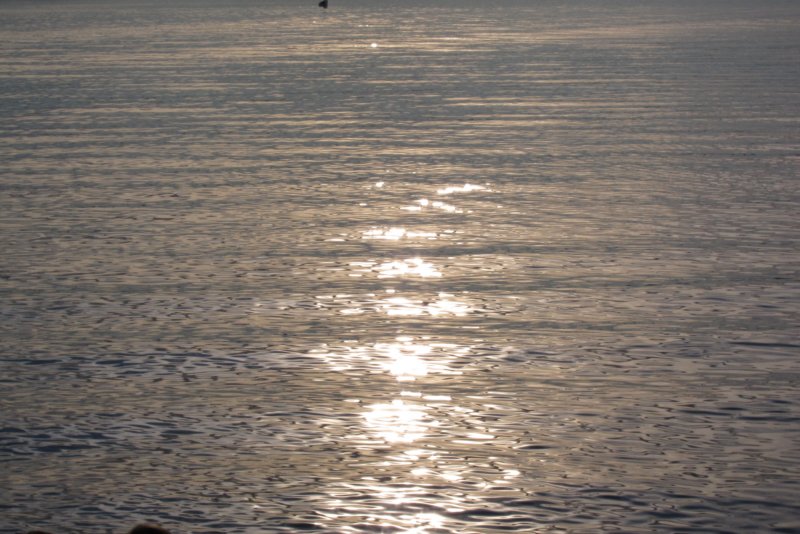 img_4124.jpg