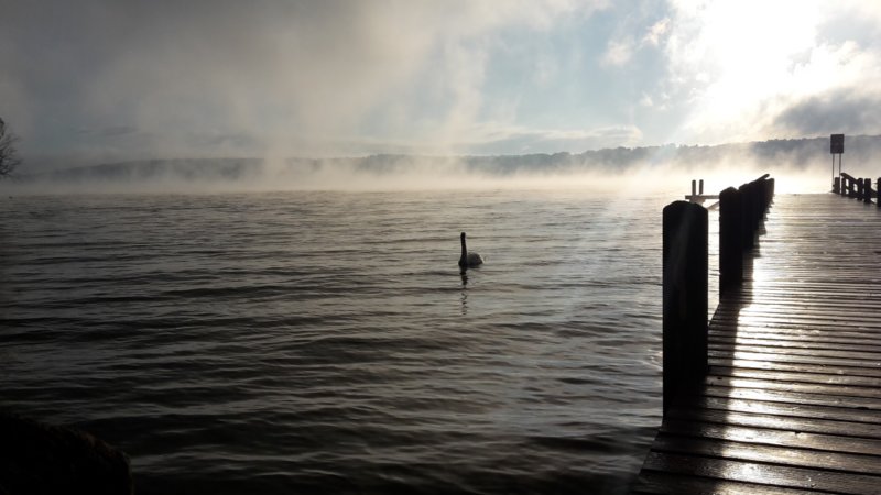 photo12.jpg