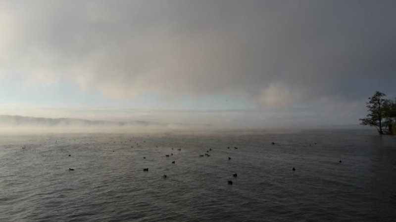 photo7.jpg