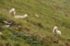 stubai_057_small.jpg