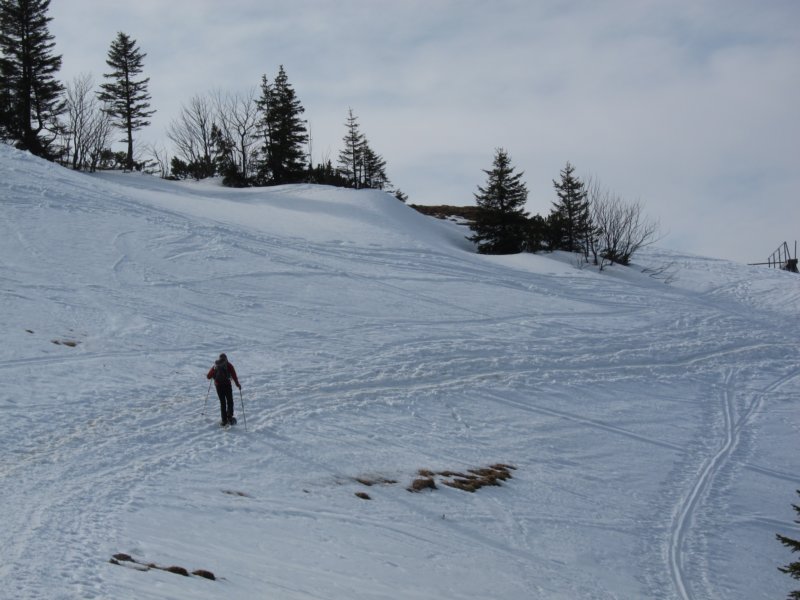 img_5539.jpg