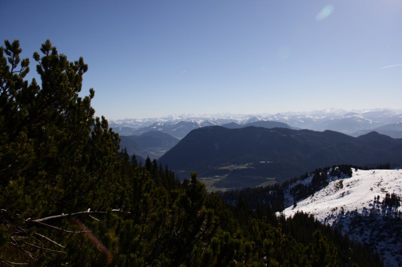 img_6383.jpg