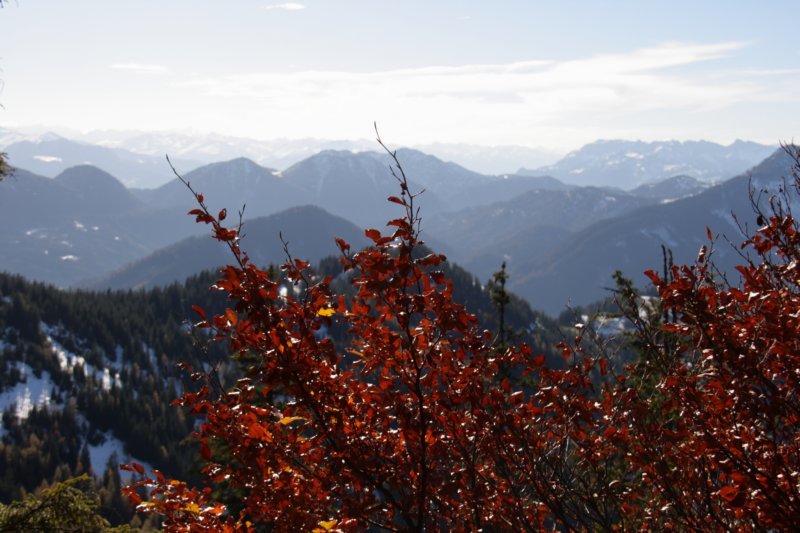 img_6430.jpg